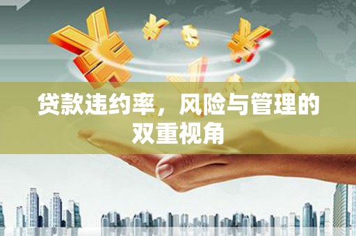 渝北贷款违约率，风险与管理的双重视角