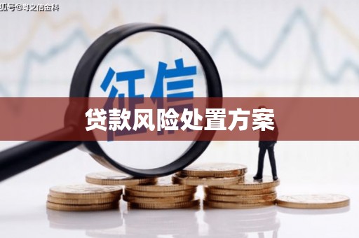 渝北贷款风险处置方案