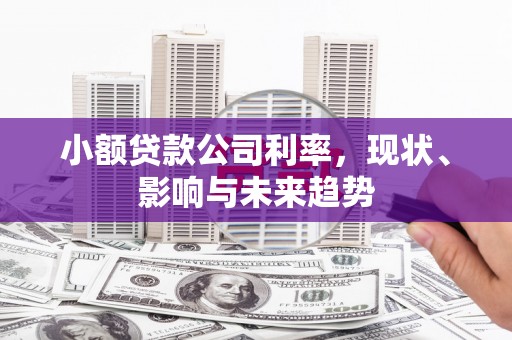渝北小额贷款公司利率，现状、影响与未来趋势