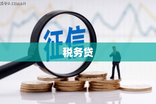 渝北税务贷