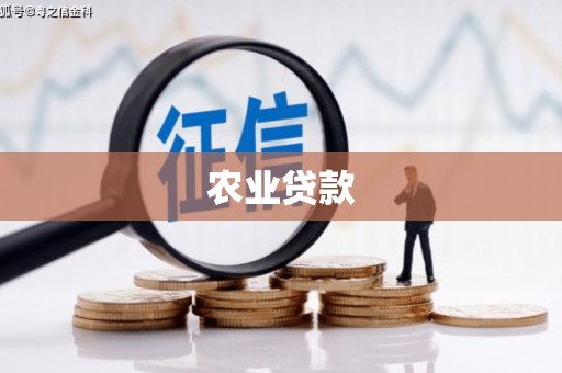 渝北农业贷款