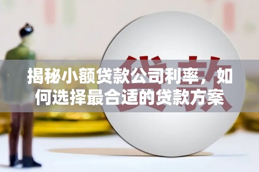 渝北揭秘小额贷款公司利率，如何选择最合适的贷款方案