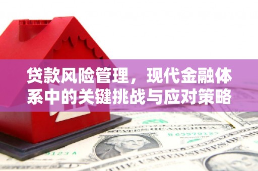 渝北贷款风险管理，现代金融体系中的关键挑战与应对策略