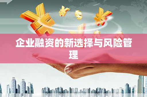 渝北企业融资的新选择与风险管理