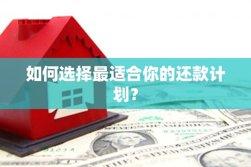 渝北如何选择最适合你的还款计划？